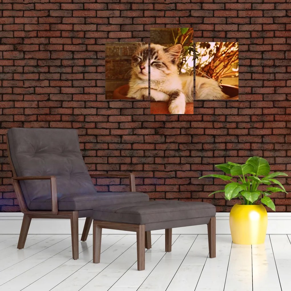 Tablou cu pisica în ghiveci (90x60 cm)