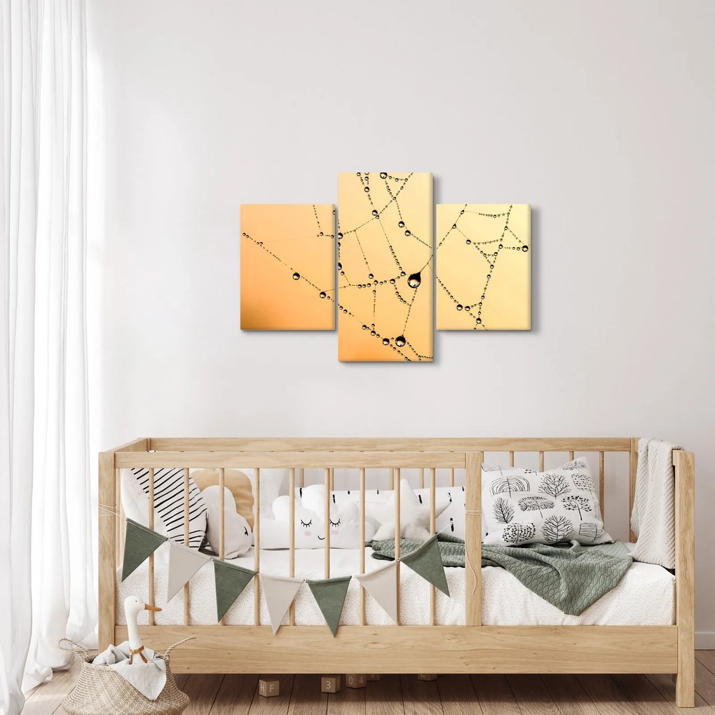 Tablou cu pânză de pâianjen cu rouă (90x60 cm)