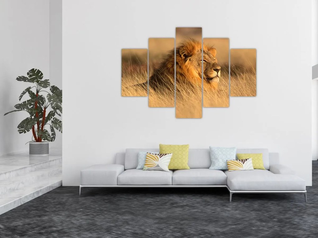 Tablou - Parcul Național Etosha (150x105 cm)