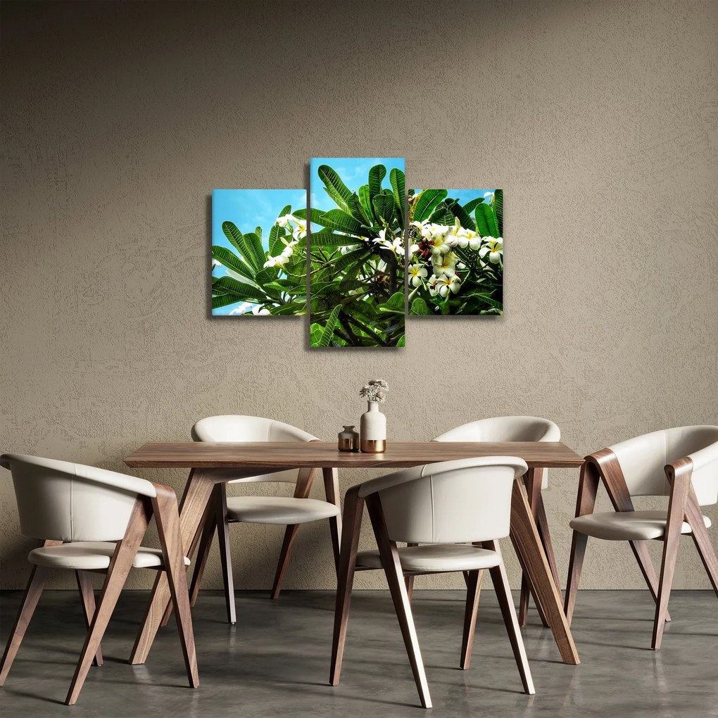 Tablou - Plumeria (90x60 cm)