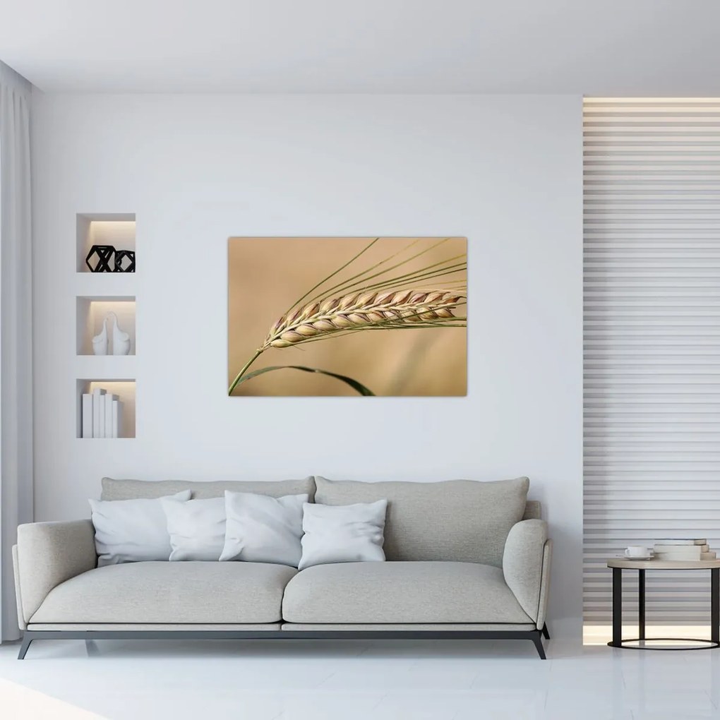 Tablou - Grâu (90x60 cm)