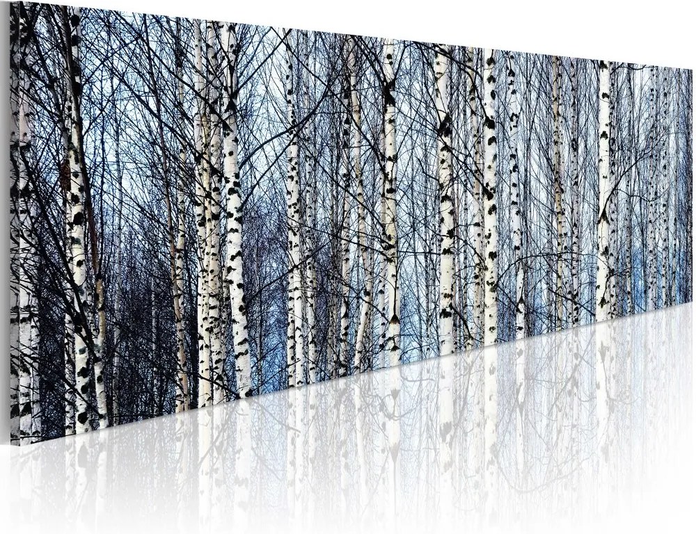 Tablou Bimago - White birches 120x40 cm