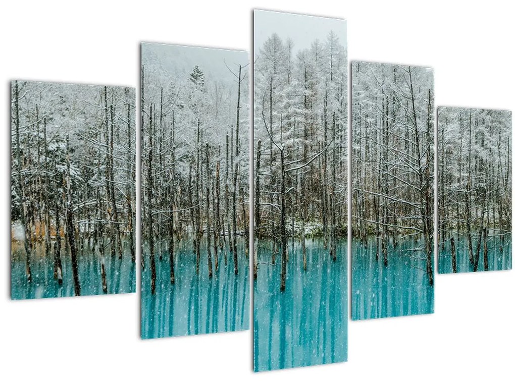 Tablou - Pescărie turcoaz, Biei, Japonia (150x105 cm)