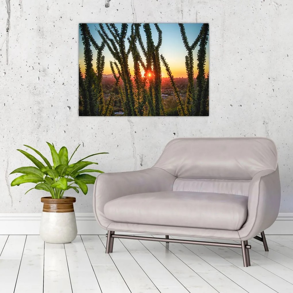 Tablou - Plante (70x50 cm)