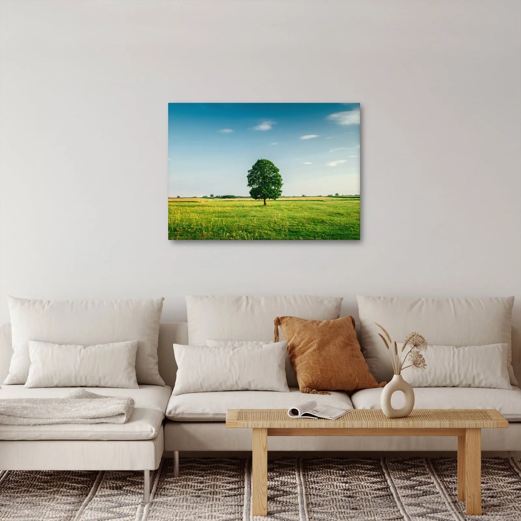 Tablou cu copaci pe luncă (70x50 cm)