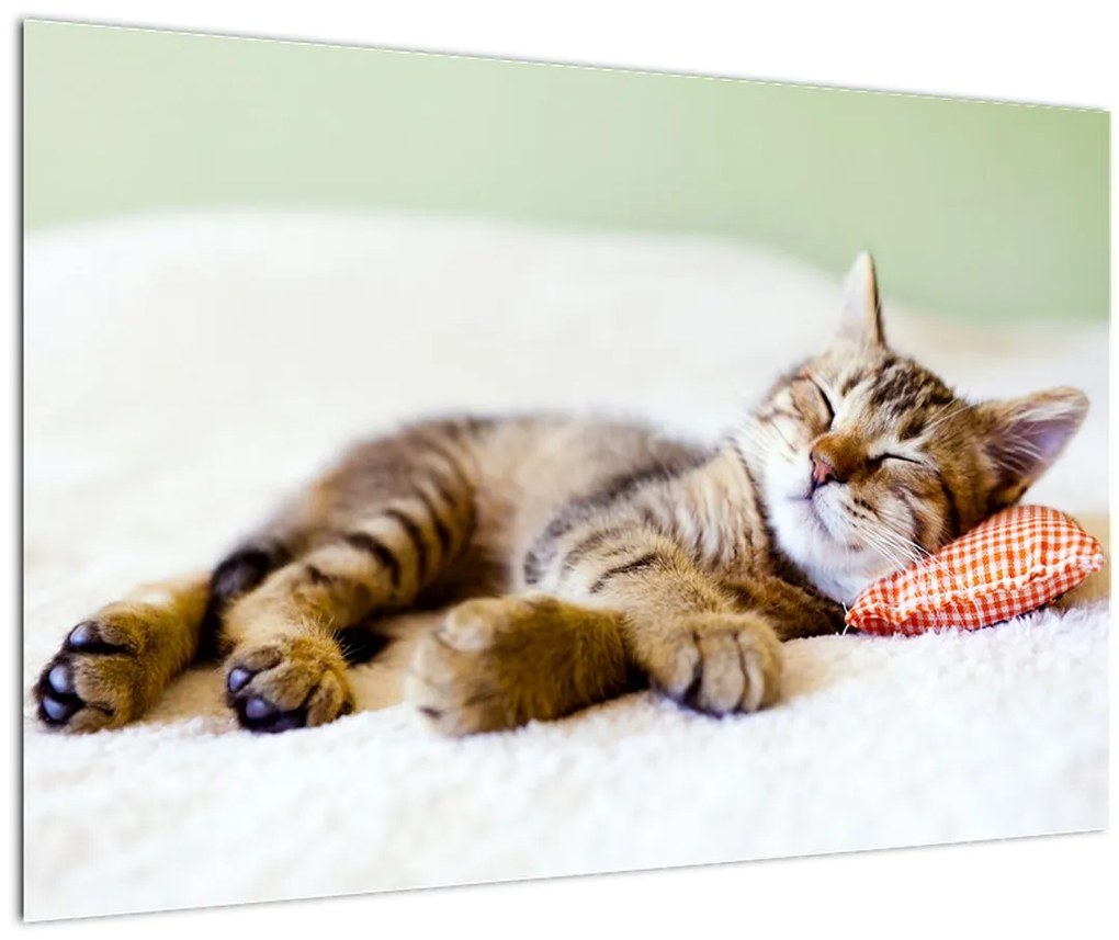 Tablou - Pisicuța adormită (90x60 cm)