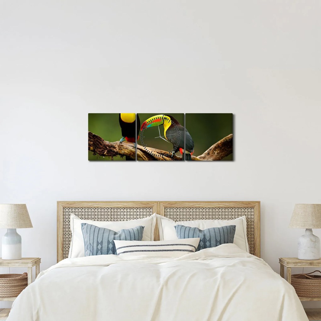 Tablou tucani sezând , Costa Rica (cu ceas) (90x30 cm)