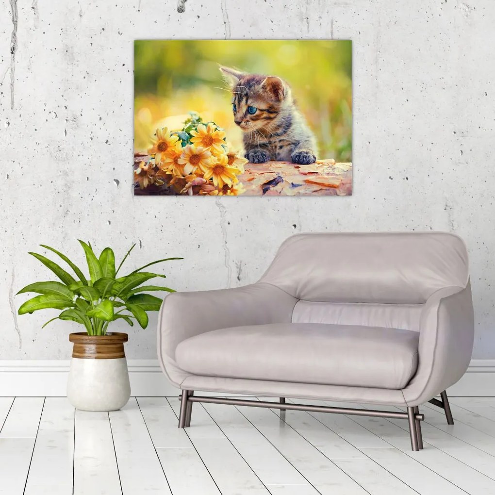 Tablou cu pisicuța uitându-se la floare (70x50 cm)