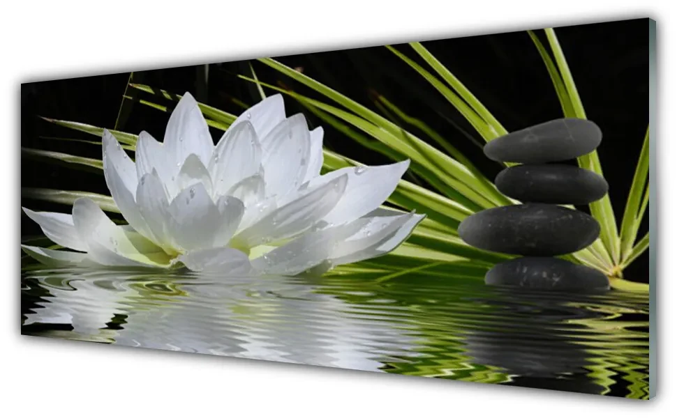 Tablou pe sticla Pietrele de flori Apă Floral Alb Negru