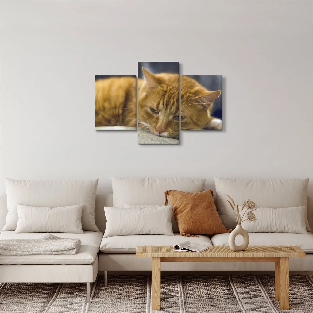 Tabloul pisicii (90x60 cm)