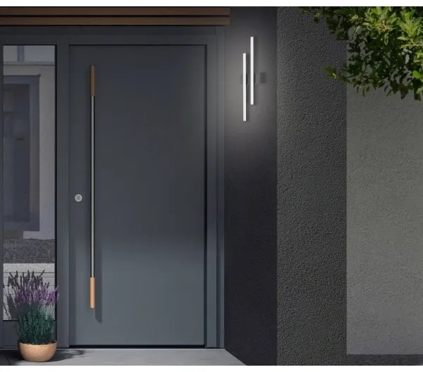 Telefunken - Aplica LED de exterior pentru perete 2xLED/4W/230V IP44 negru