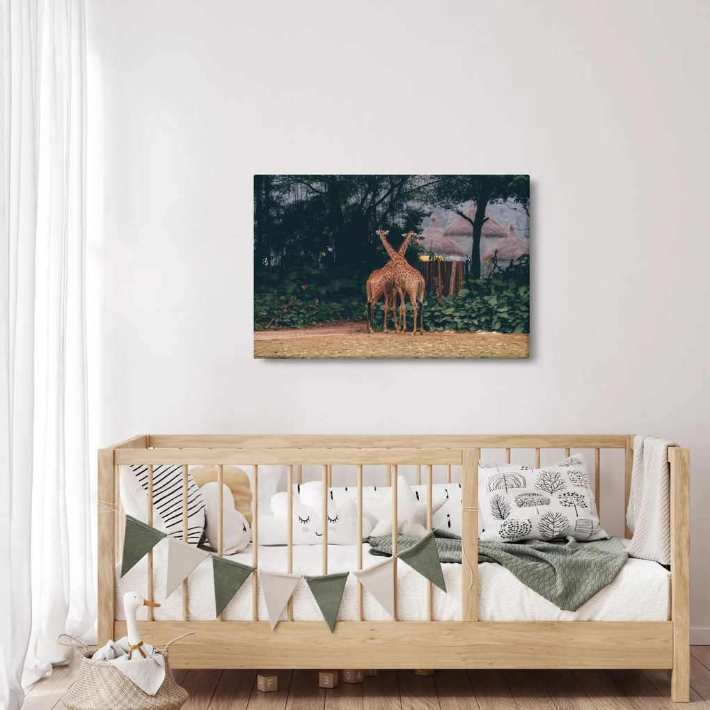 Tablou cu două girafe (90x60 cm)