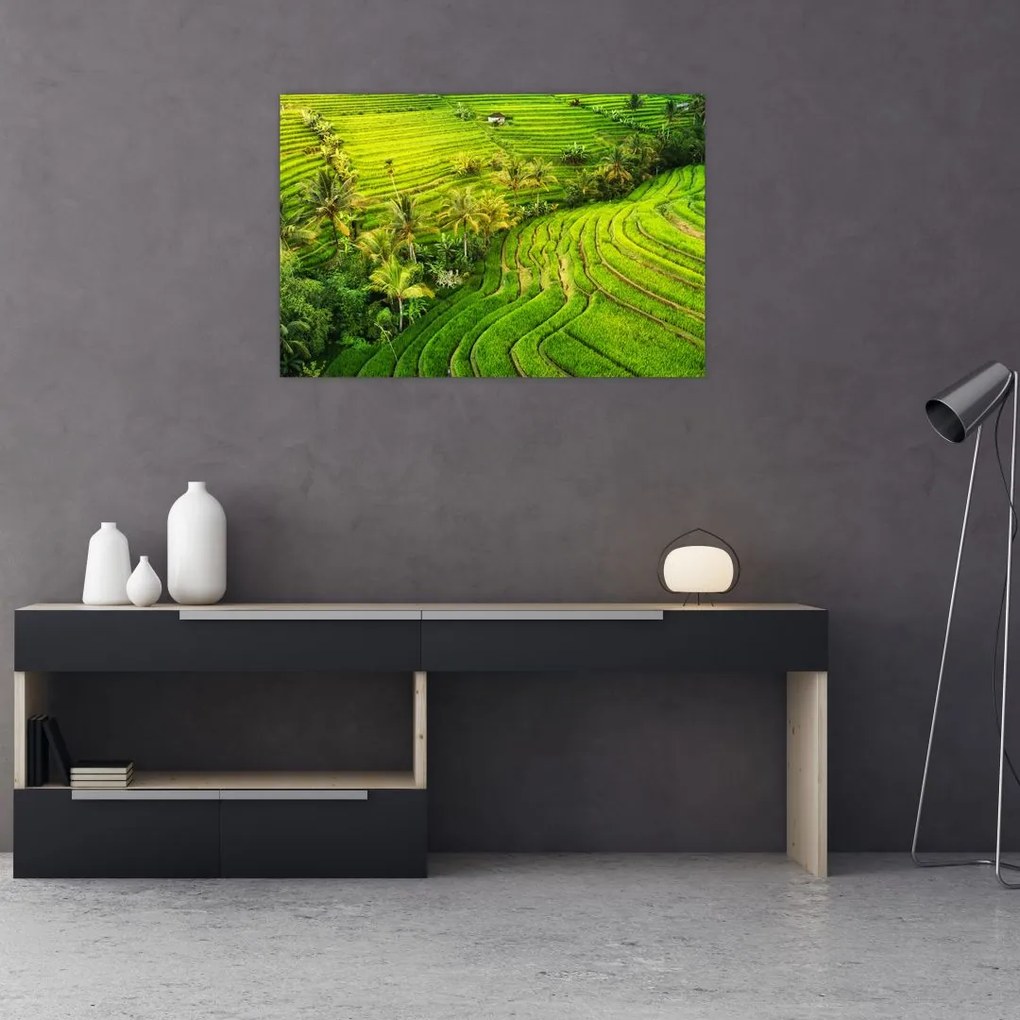 Tablou - Terase de orez (90x60 cm)