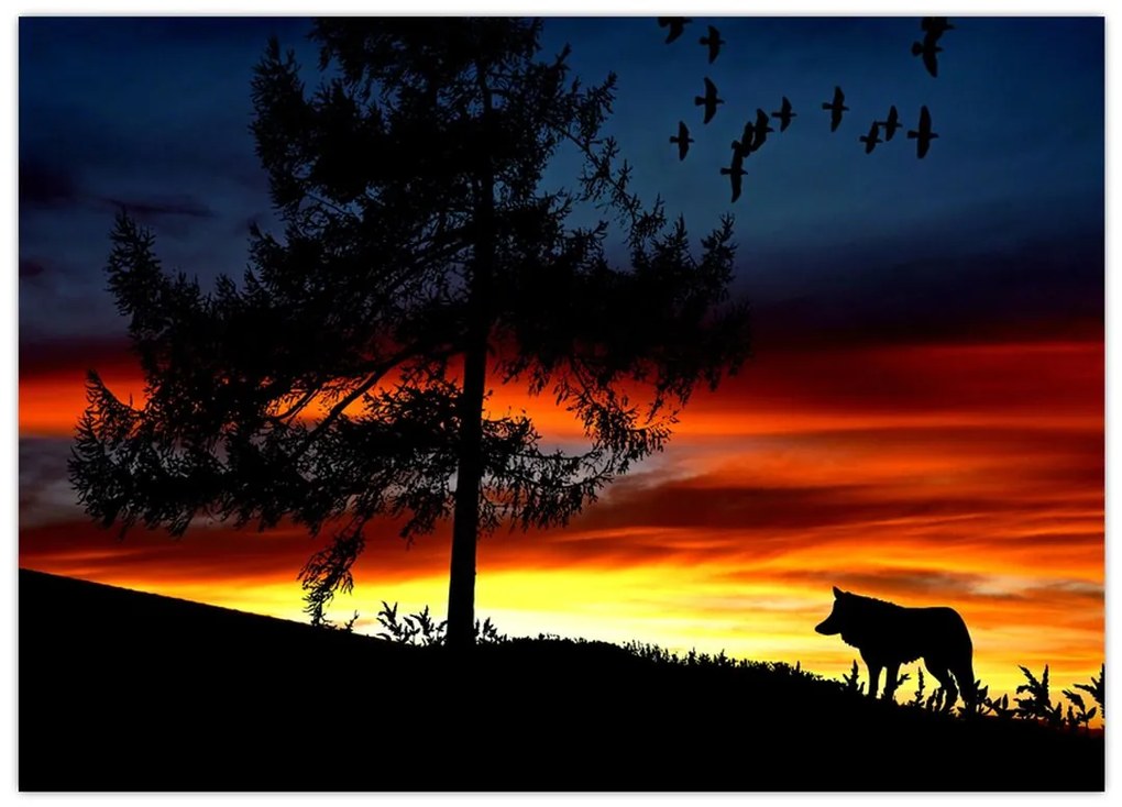 Tablou pe sticlă - Silueta unui lup (70x50 cm)