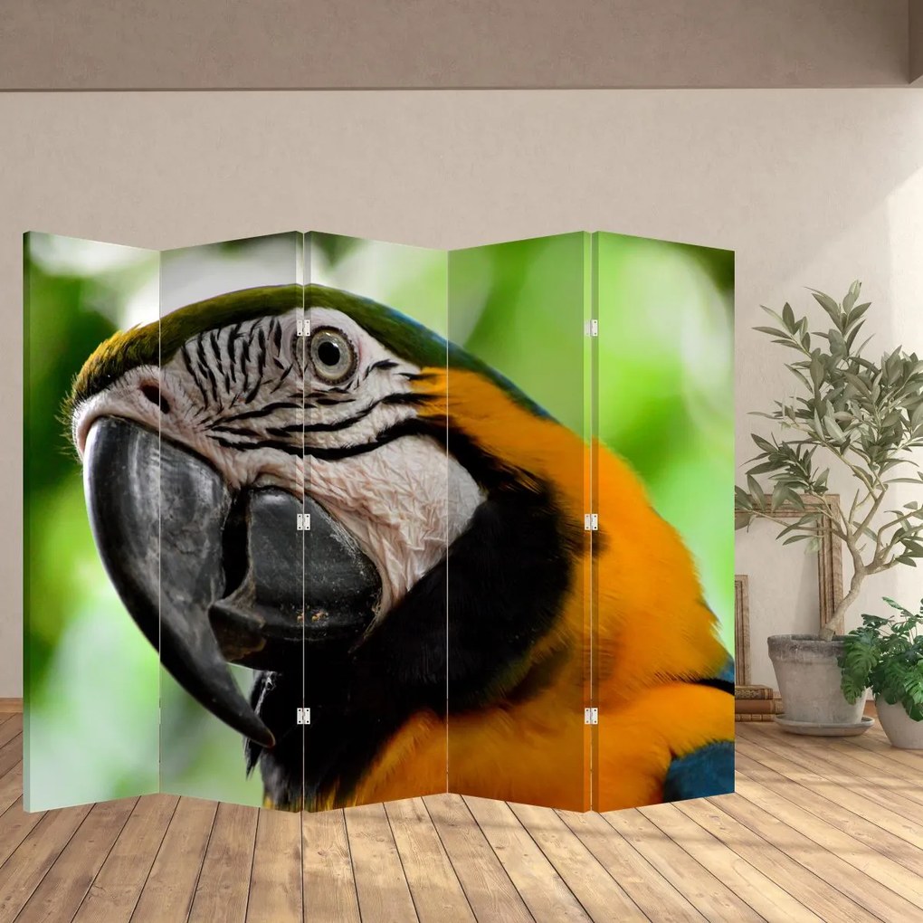 Paravan - Papagal (210x170 cm)