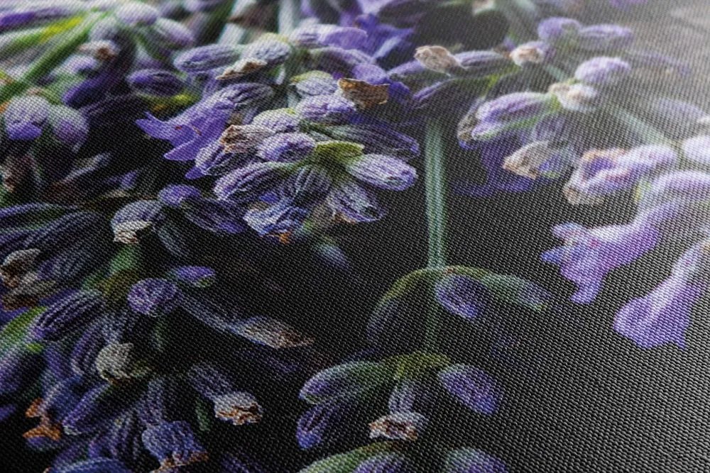 Tablou buchet de lavandă