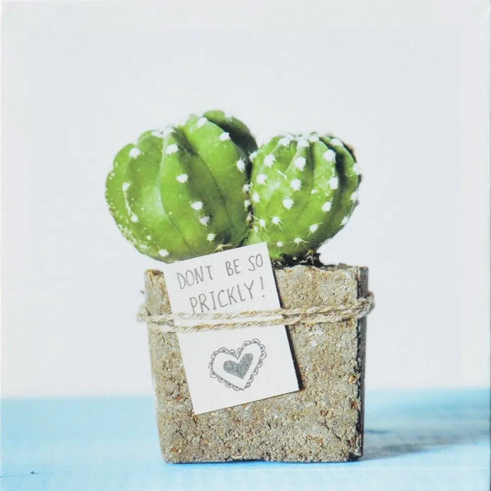 Falc Tablou pe pânză - Green cactus IV., 28x28 cm