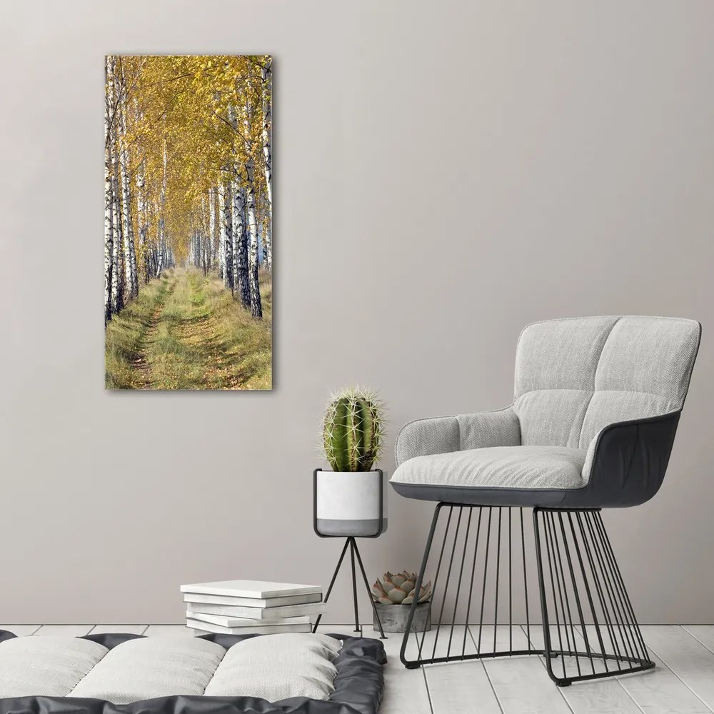 Tablou canvas Pădurea de mesteacăn
