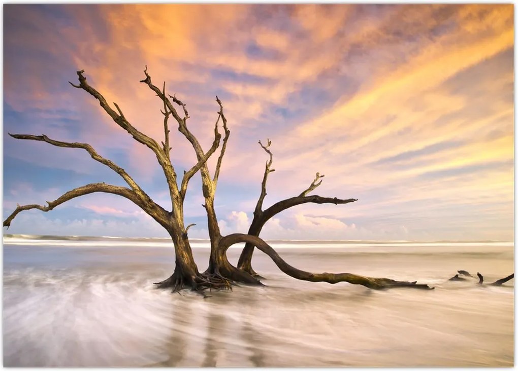 Tablou - Copacul în ocean (70x50 cm)