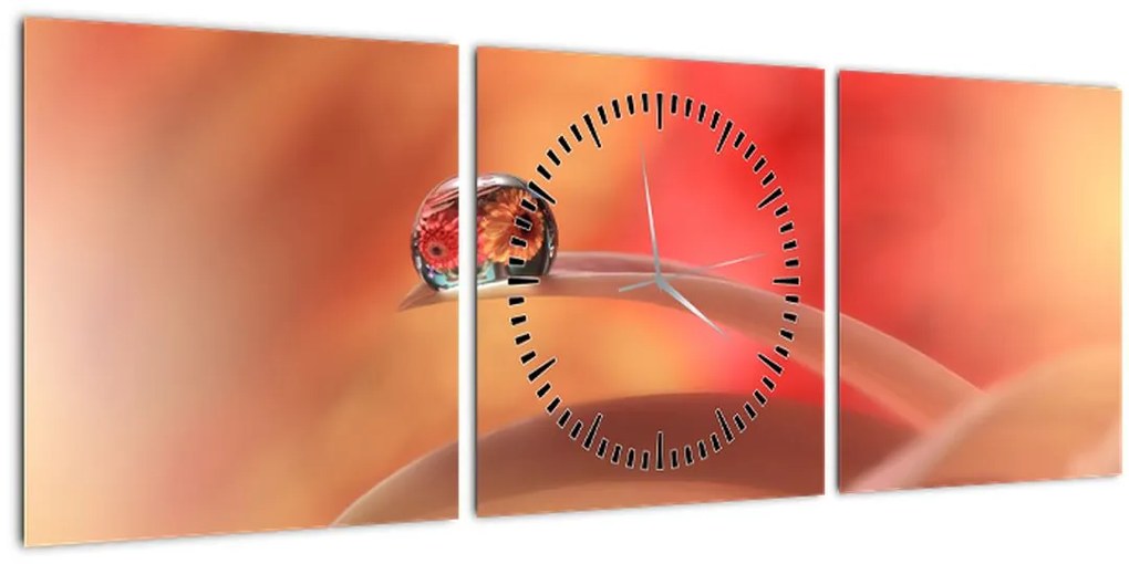 Tablou picăturii de rouă pe floare (cu ceas) (90x30 cm)