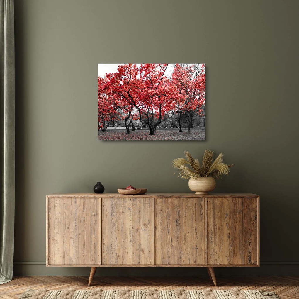 Tablou pe sticlă - Copacii roșii, Central Park, New York (70x50 cm)