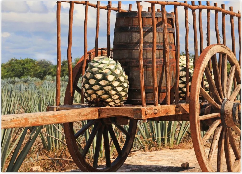 Tablou - Remorcă (70x50 cm)