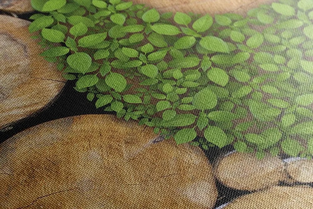Tablou Yin și Yang într-un design ecologic