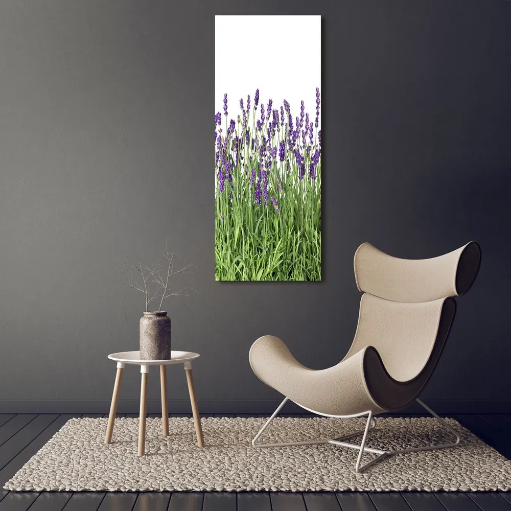 Imprimare tablou canvas Câmp de lavandă