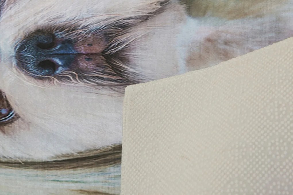 Covor, KHMFESTO008KEÇE, 100x150 cm, Multicolor