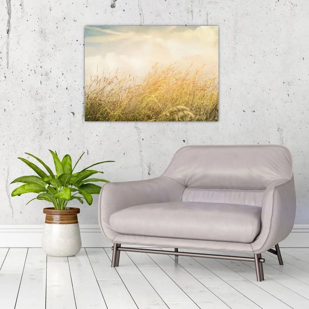 Tablou pe sticlă - Câmp toamna (70x50 cm)