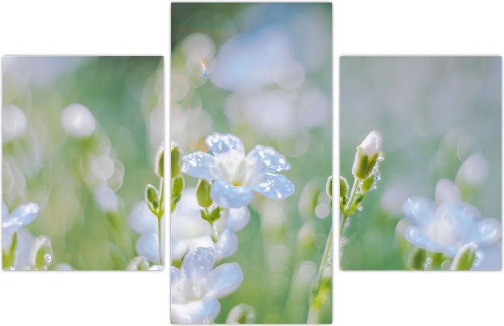 Tablou - Flori delicate (90x60 cm)