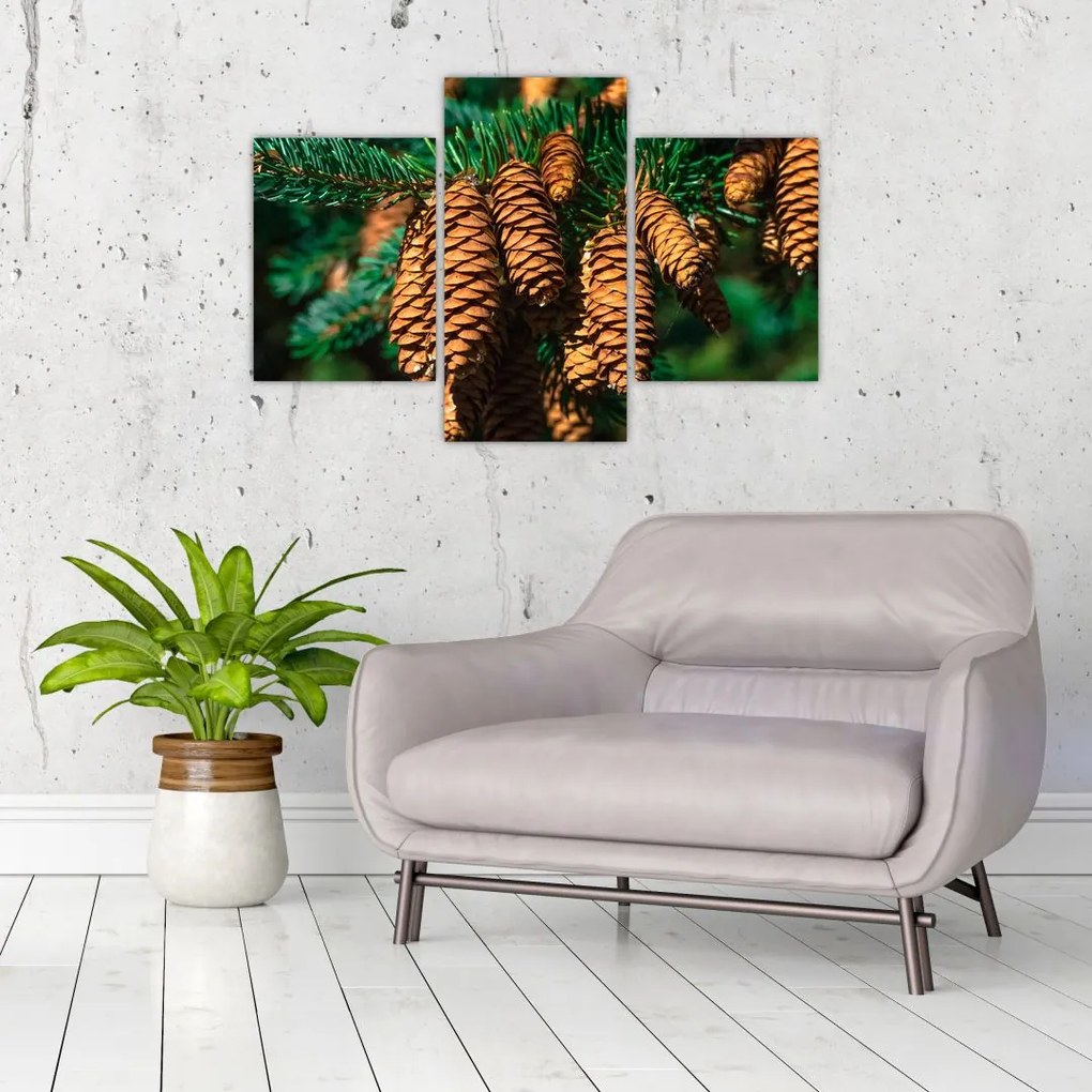 Tablou cu con de brad (90x60 cm)
