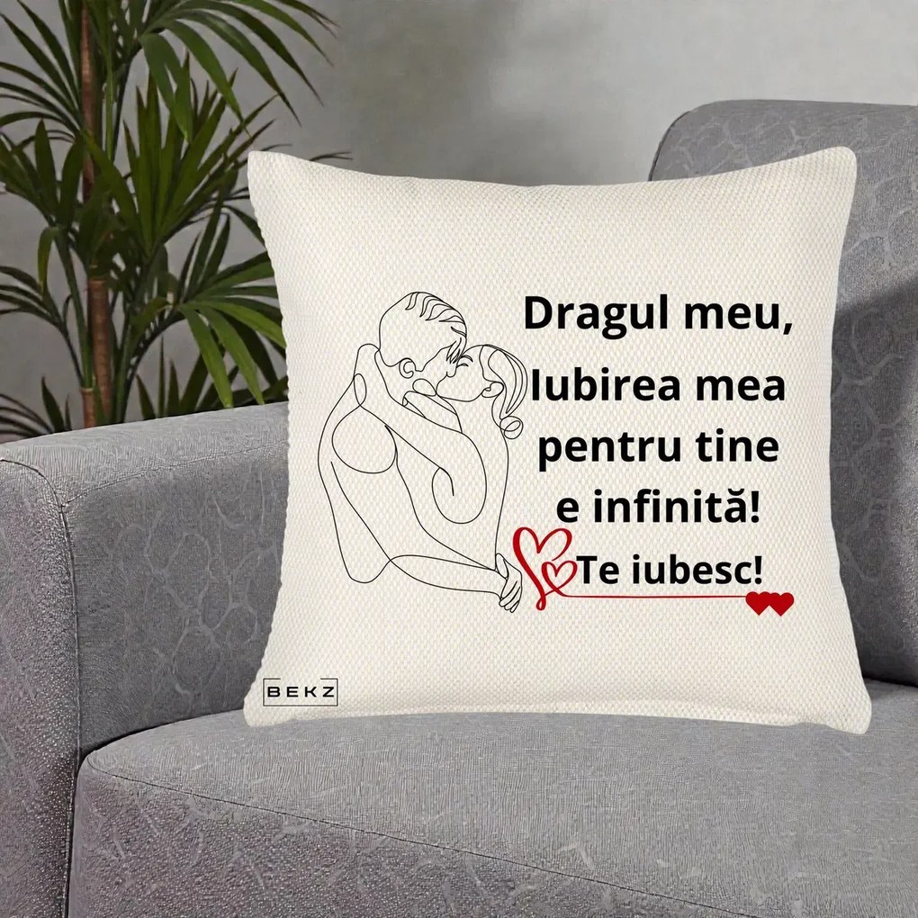Cadou pentru Iubit - Perna Personalizata Dragul Meu Iubirea Mea pentru Tine e Infinita Te Iubesc, 40x40 cm, Crem Reliefat, Husa Detasabila, Perna Inclusa, BEKZ®