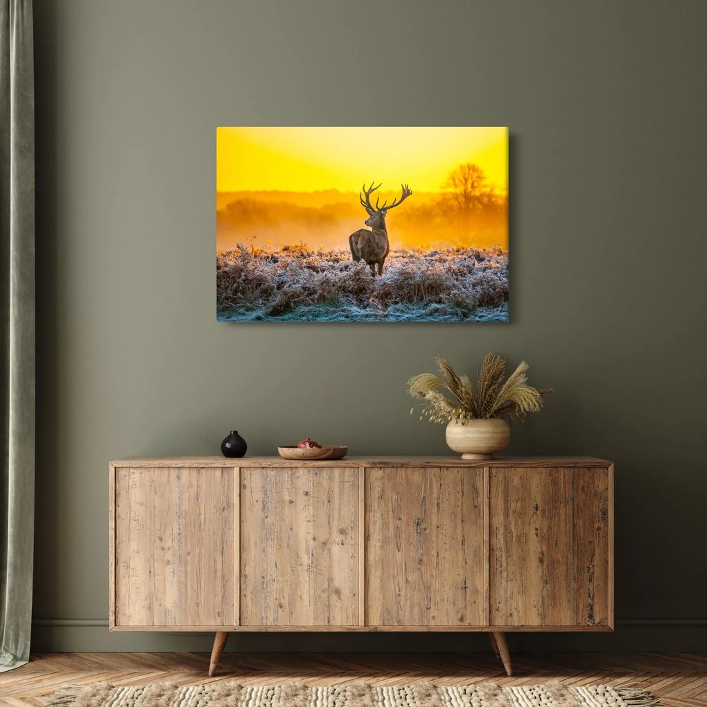 Tablou - Cerb la răsăritul soarelui (90x60 cm)