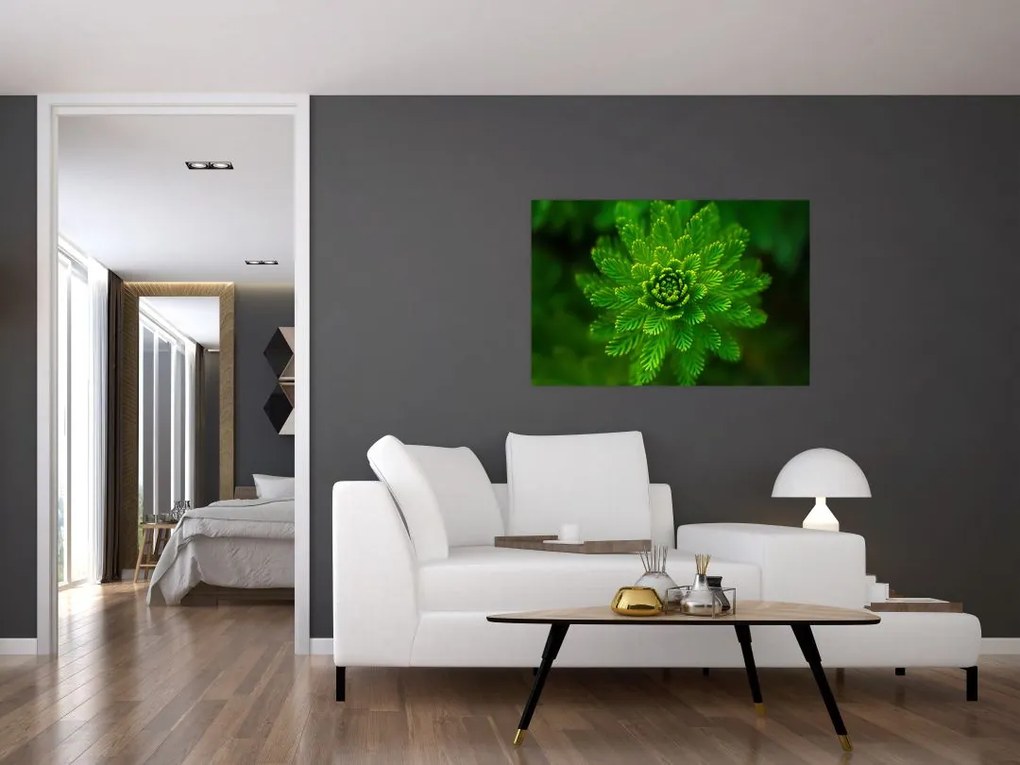 Tablou cu coniferi (90x60 cm)