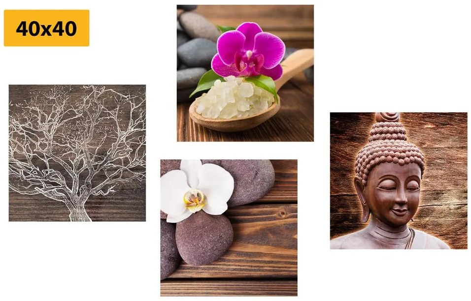 Set tablouri Feng Shui în design natural