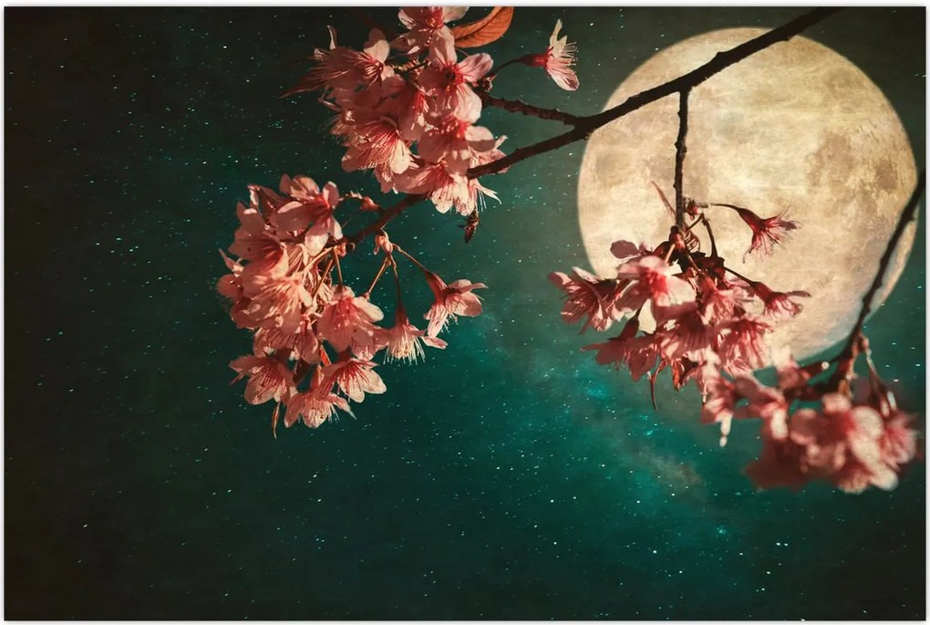 Tablou - Sakura în luna plină (90x60 cm)