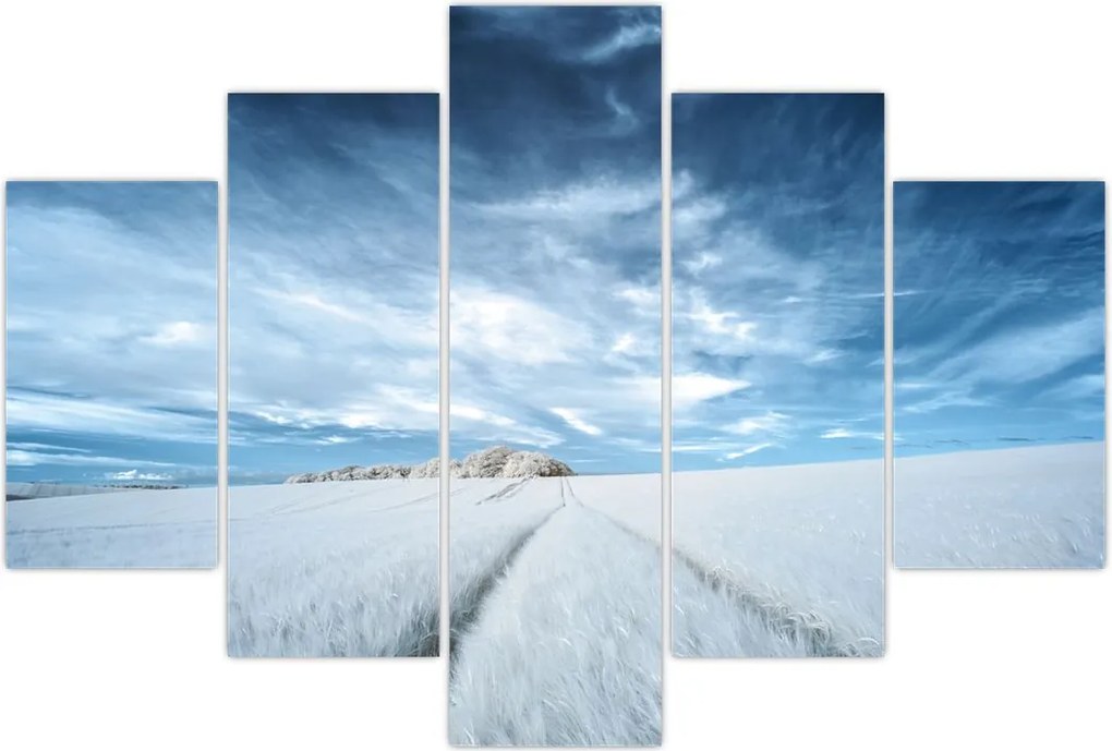 Tablou - Câmp (150x105 cm)