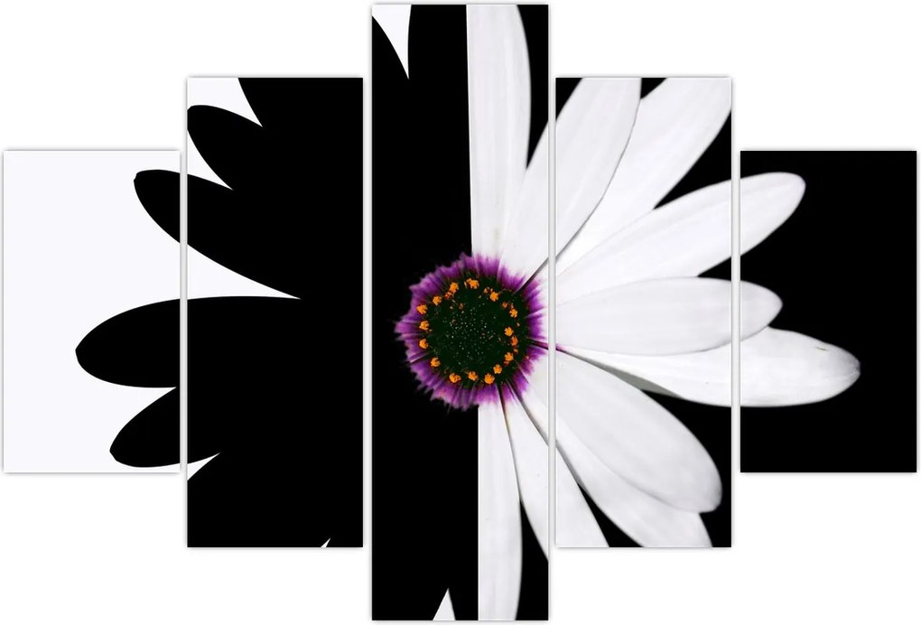 Tablou - Floare, alb- negru (150x105 cm)