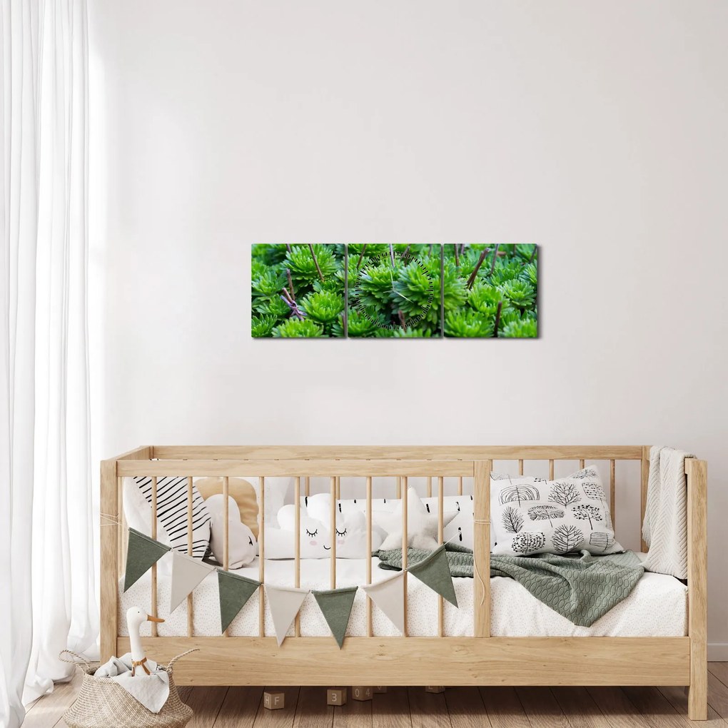 Tablou - Aloe (cu ceas) (90x30 cm)