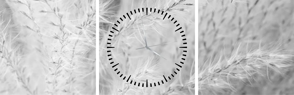 Tablou - Iarbă de pampas N⁰1 (cu ceas) (90x30 cm)