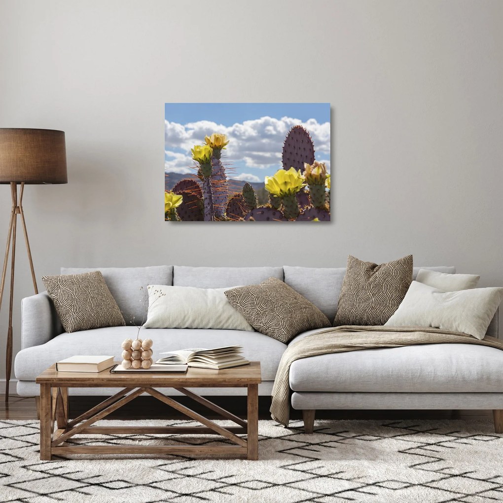 Tablou pe sticlă cu floarea de cactus Opunție (70x50 cm)