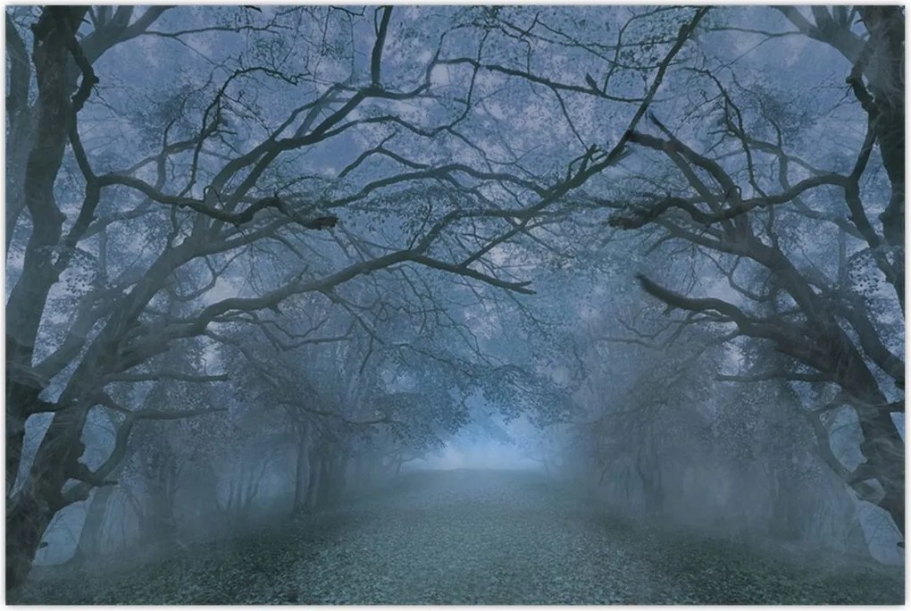 Tablou - Pădurea în ceață (90x60 cm)