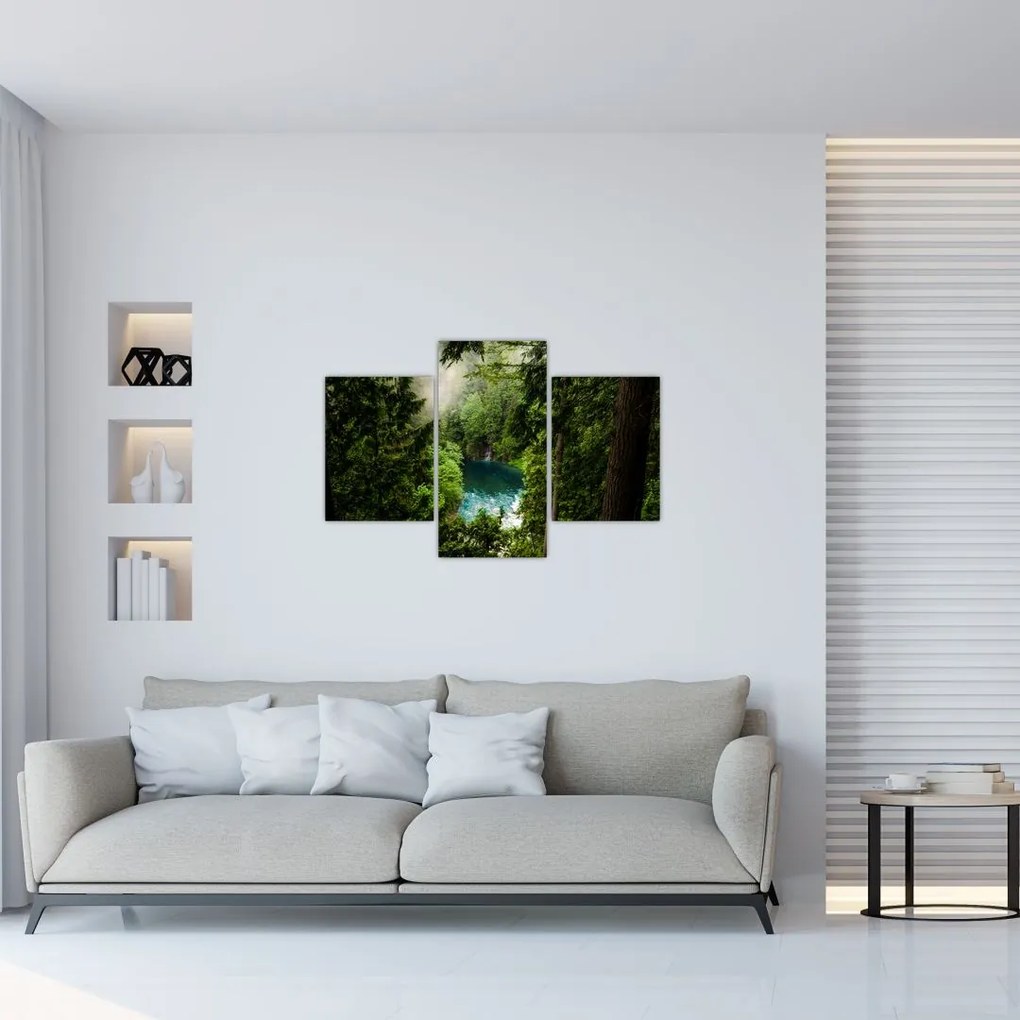 Tablou - Fereastra între copaci (90x60 cm)