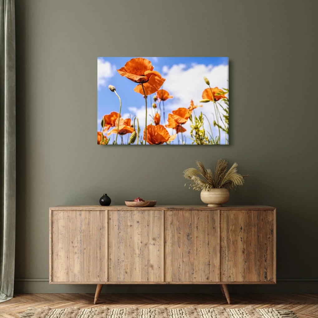 Tablou cu macii (90x60 cm)