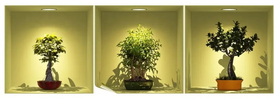 Set 3 autocolante cu efect 3D Ambiance Bonsai Trees On Spot