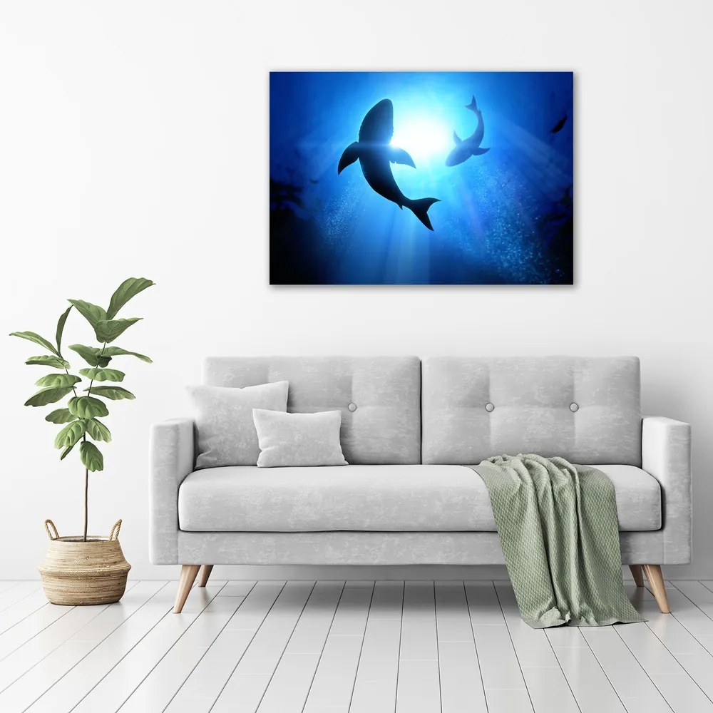 Imprimare tablou canvas Doi rechini