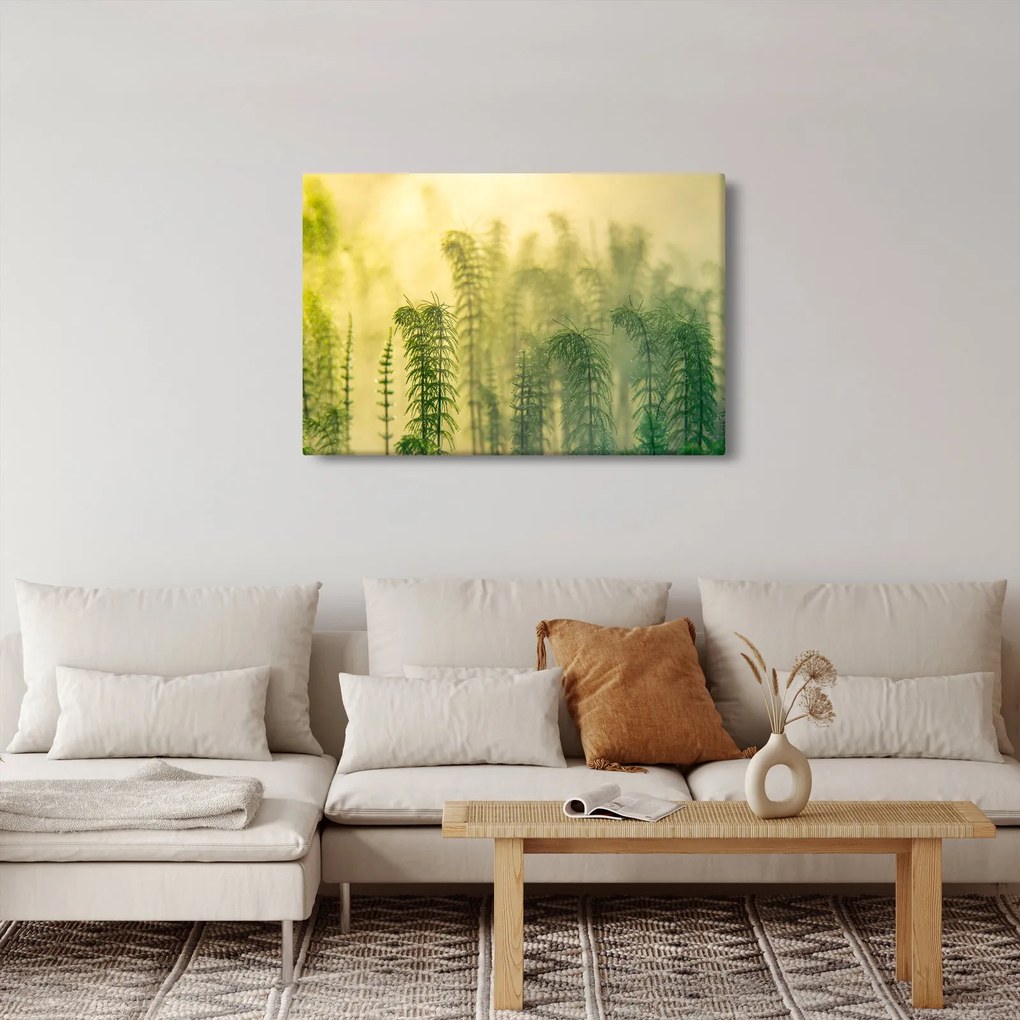 Tablou - Detaliu de primăvară natura cețoasă (90x60 cm)