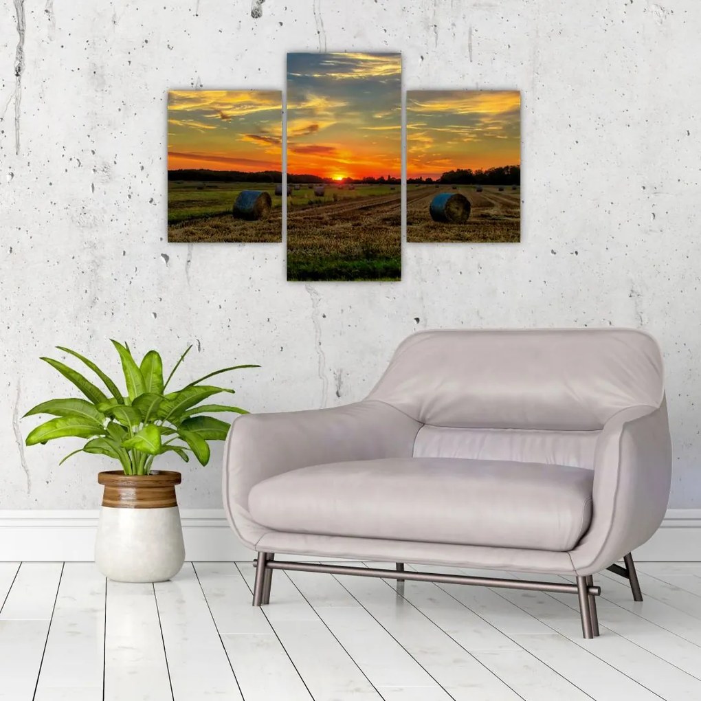 Tablou - Baloți din sat (90x60 cm)