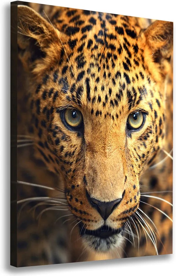 Tablou pe pânză Leopard